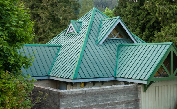 Best Steel Roofing  in Deland Southwest, FL