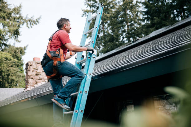 Best Sheet Metal Roofing  in Deland Southwest, FL
